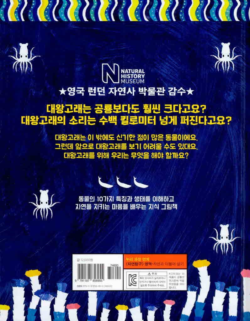 고래를 사랑해야 하는 10가지 이유