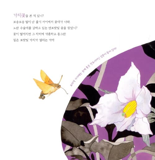 비빔밥 꽃 피었다