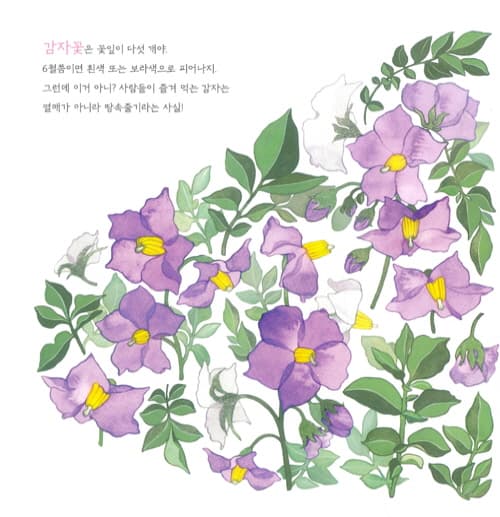 비빔밥 꽃 피었다