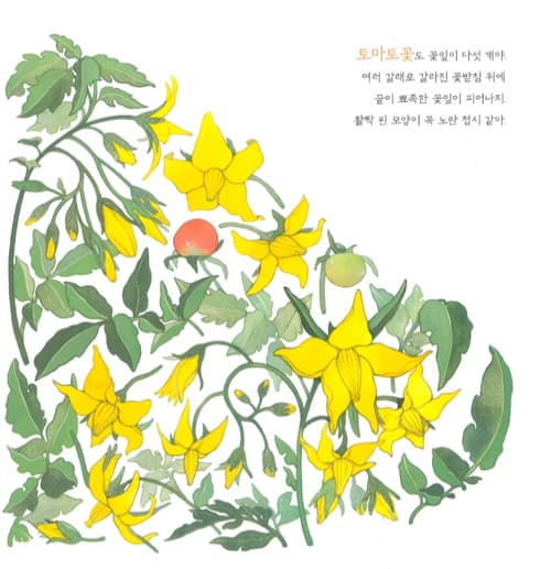 비빔밥 꽃 피었다