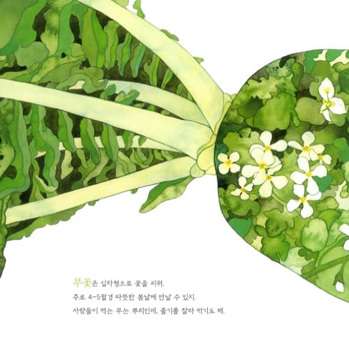 비빔밥 꽃 피었다