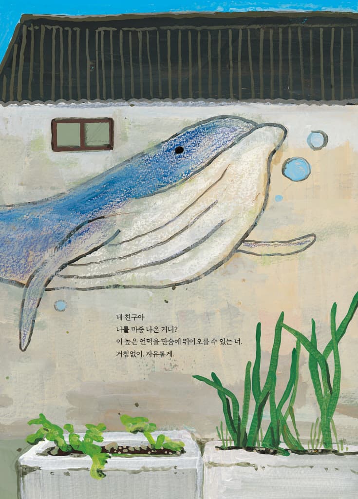 고래의 노래