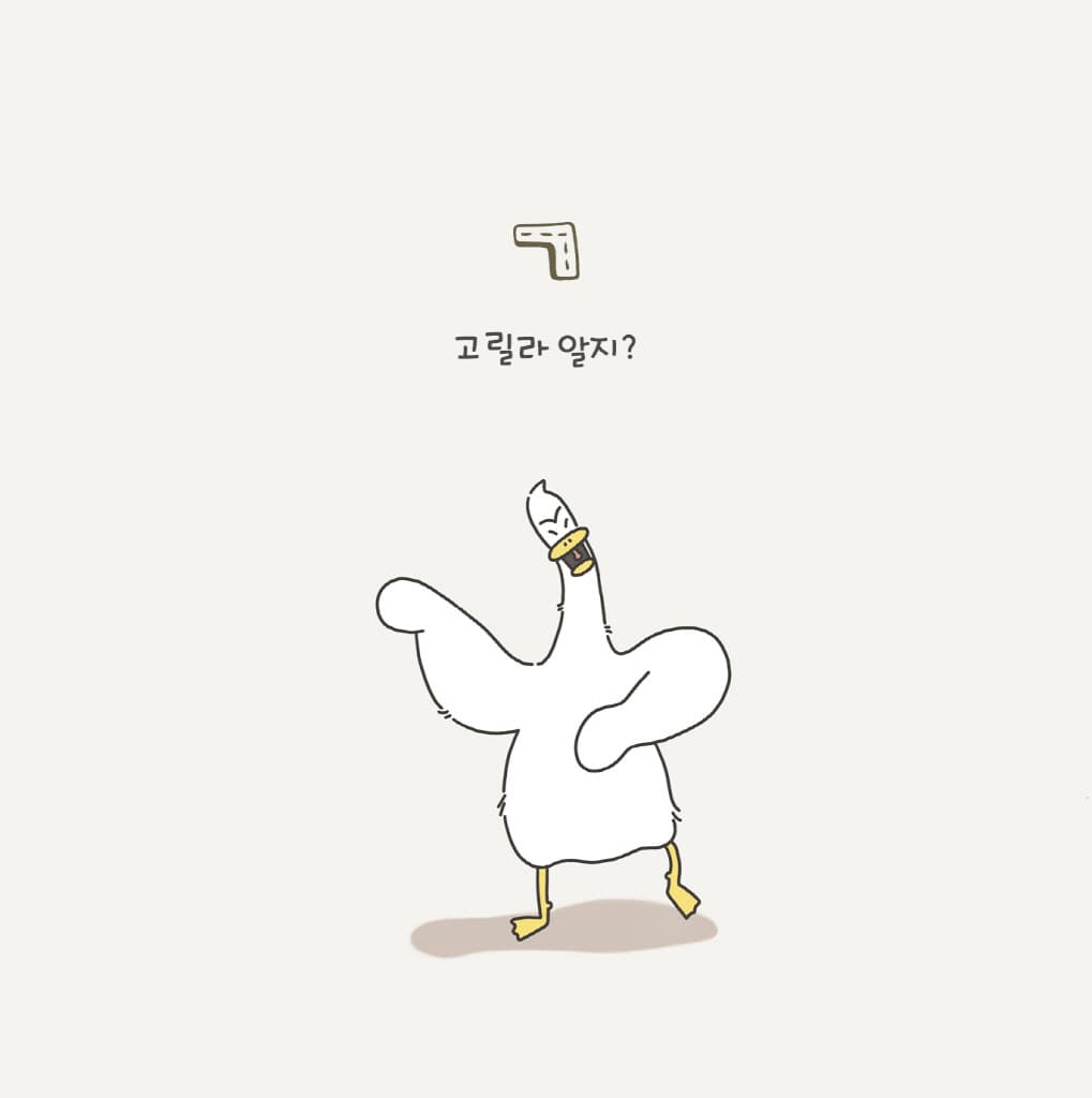 고릴라와 너구리