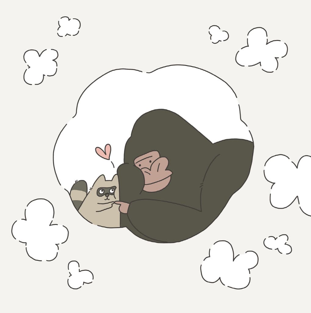 고릴라와 너구리