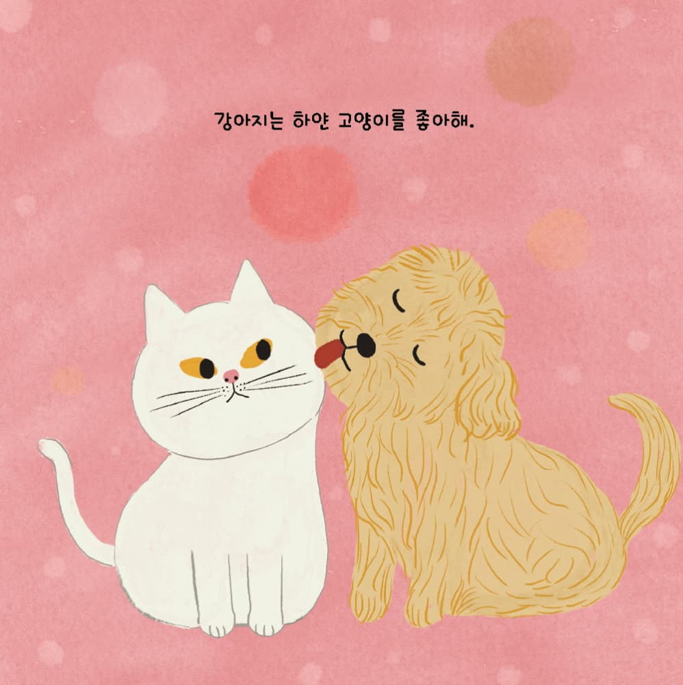 좋아해