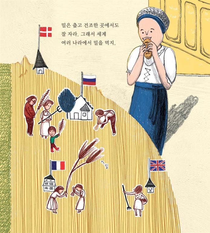 빵이 빵 터질까?