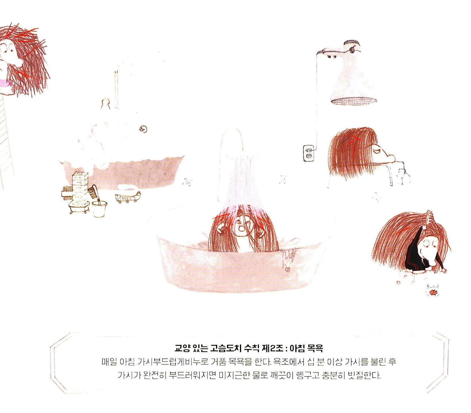 고슴도치 엑스