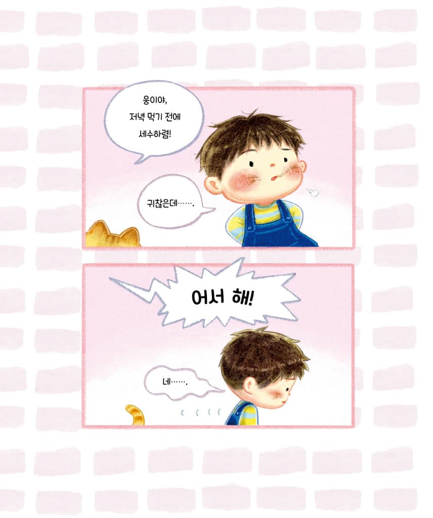 고양이 세수