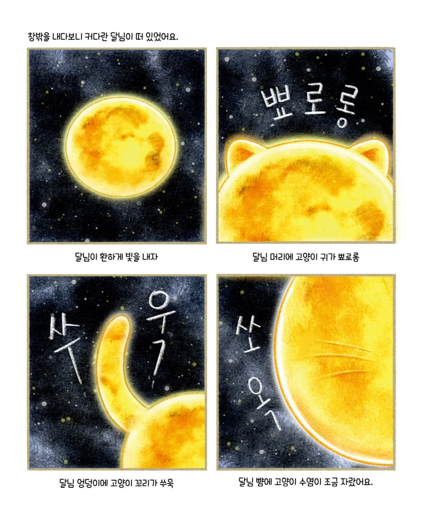 고양이 세수