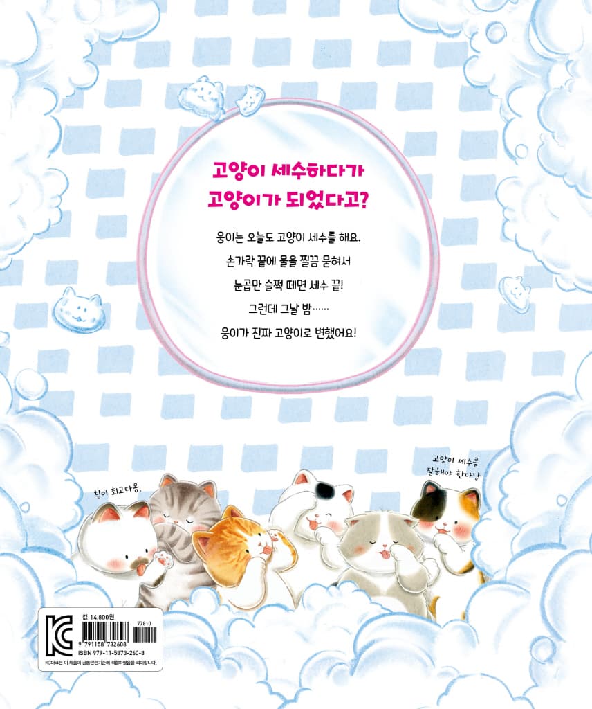 고양이 세수