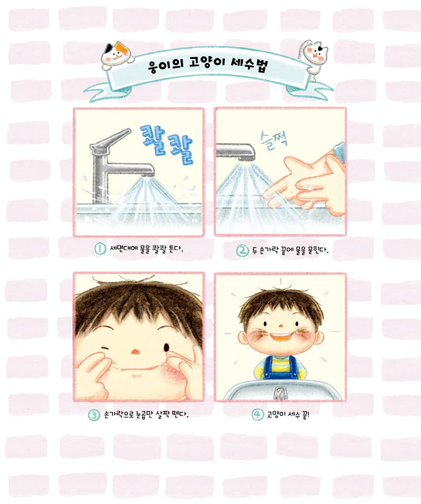 고양이 세수