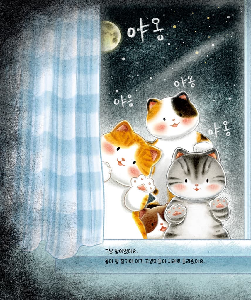 고양이 세수