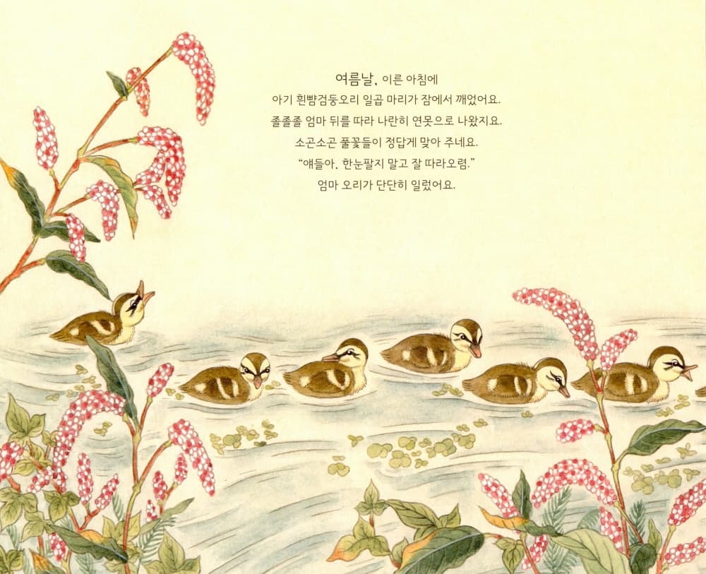 삐이삐이, 아기 오리들이 연못에 살아요