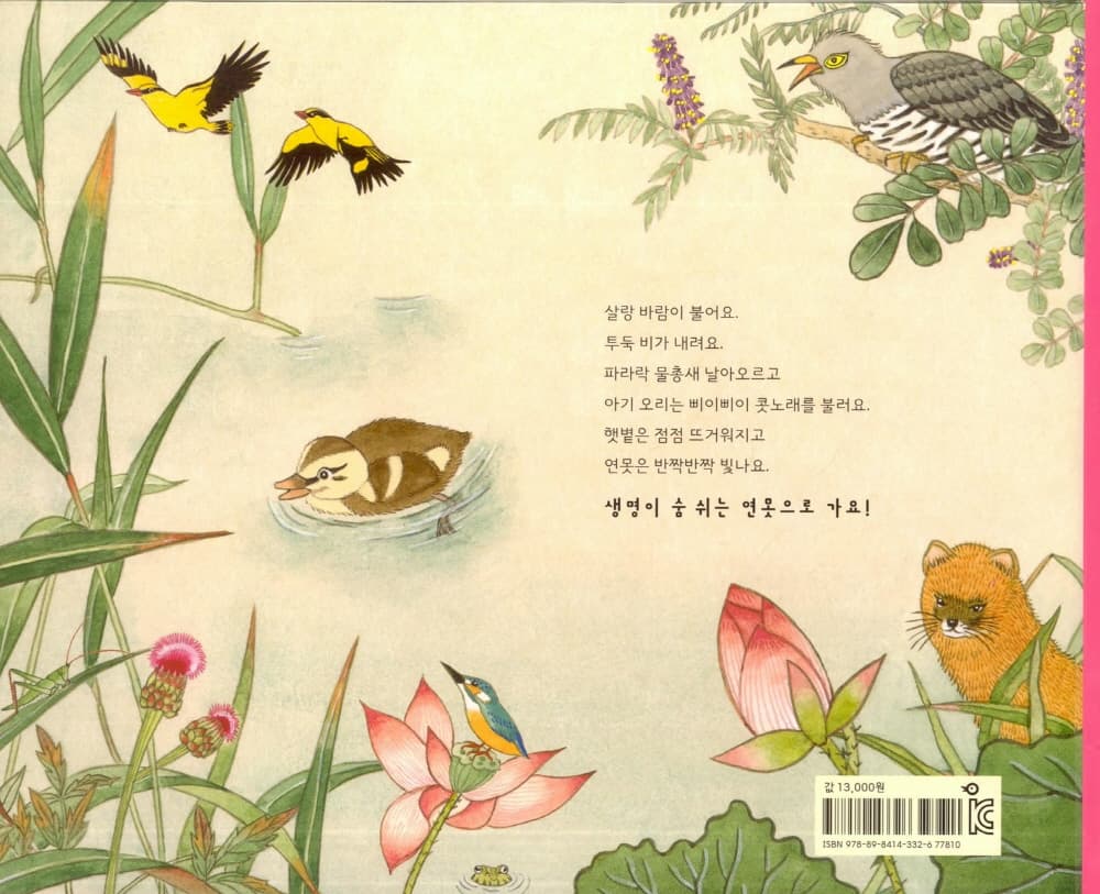 삐이삐이, 아기 오리들이 연못에 살아요