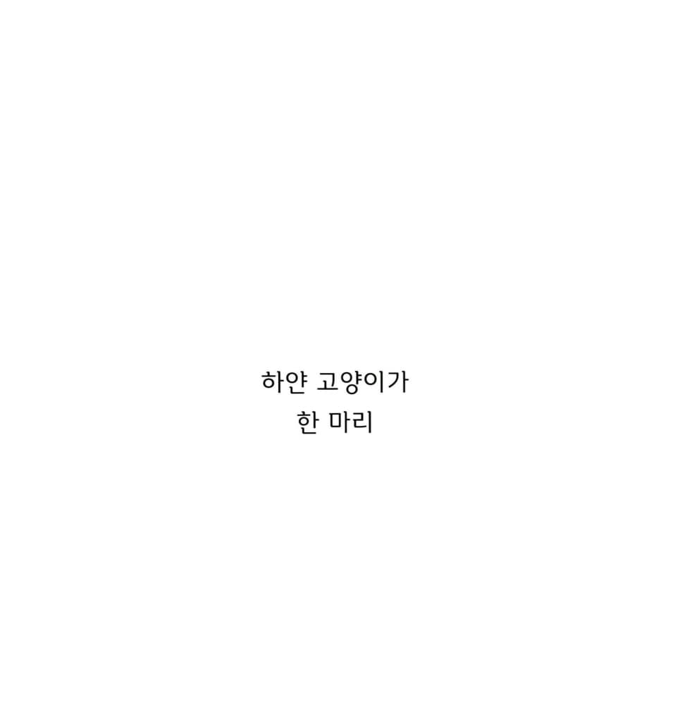 고양이야 다 모여!