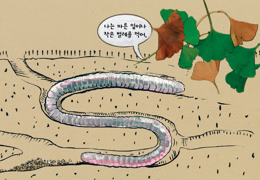 꿈틀꿈틀 지렁이다!