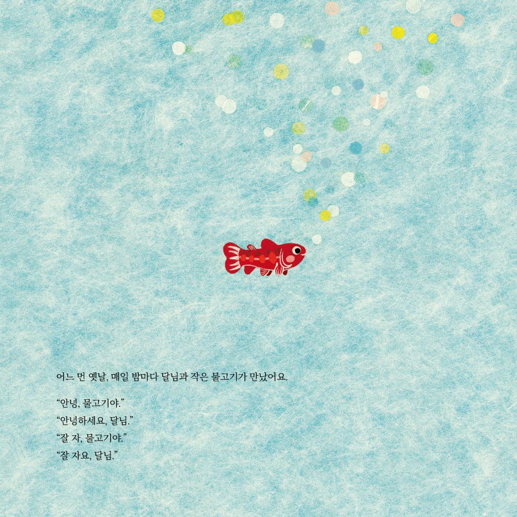 사랑에 빠진 물고기