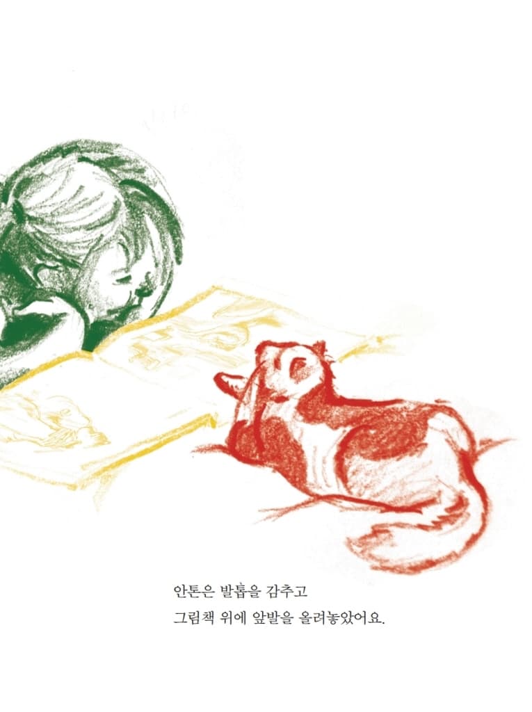 고양이와 책을