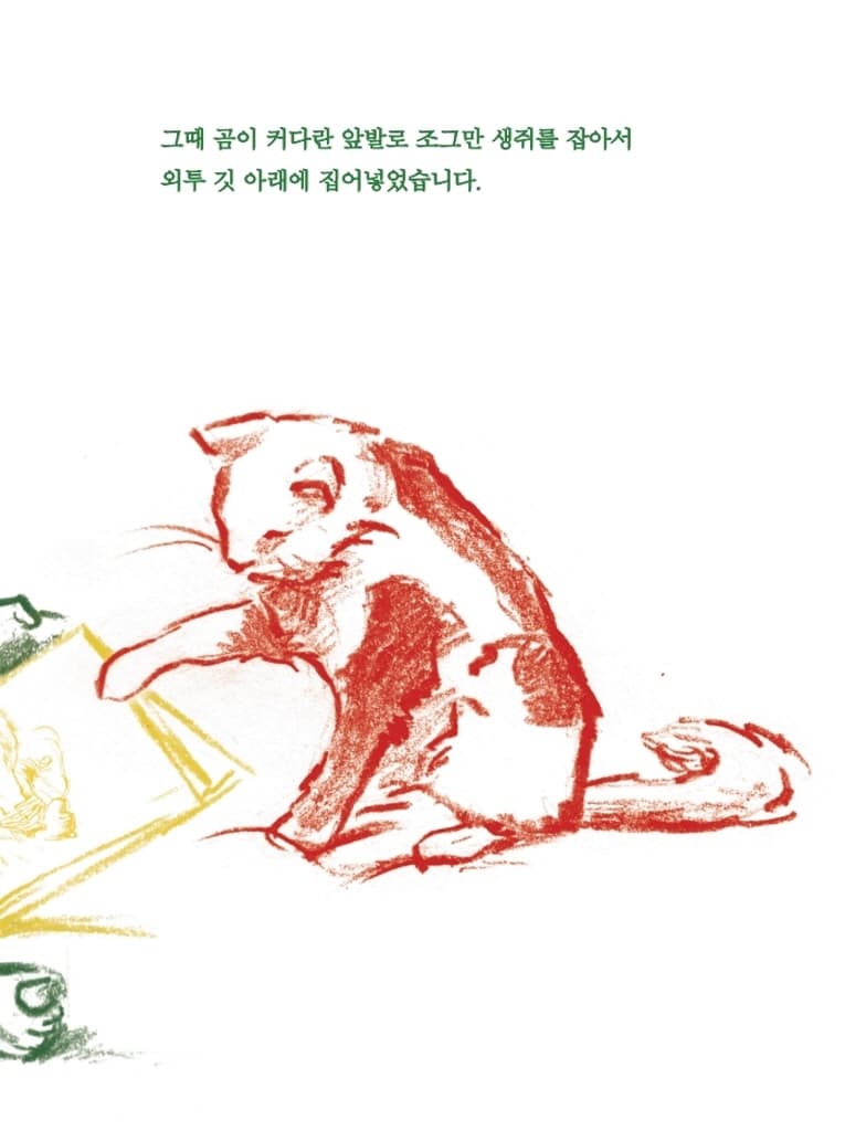 고양이와 책을