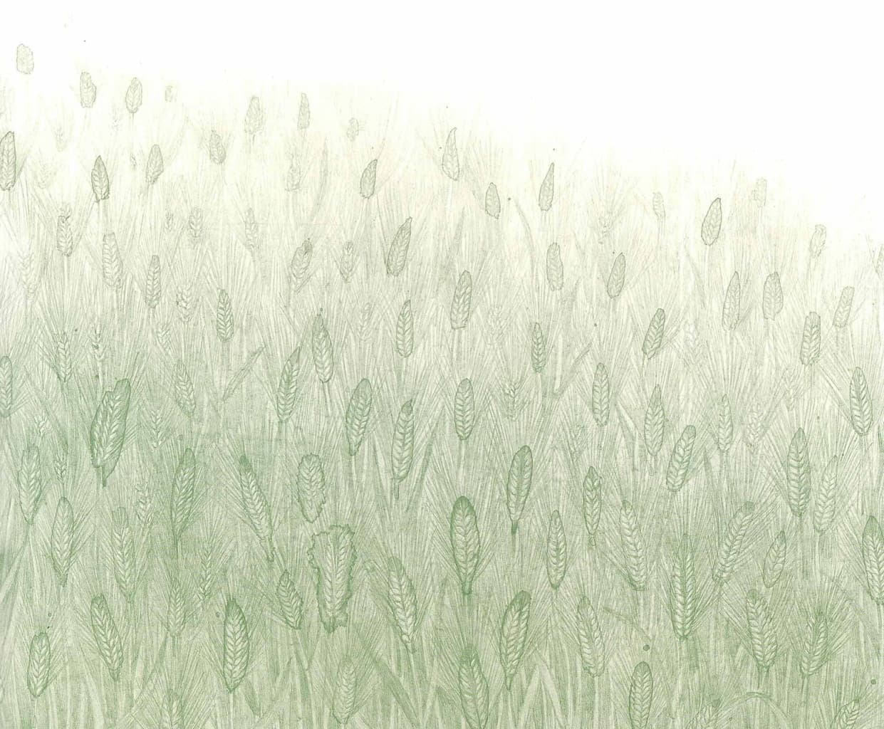 진돗개 보리