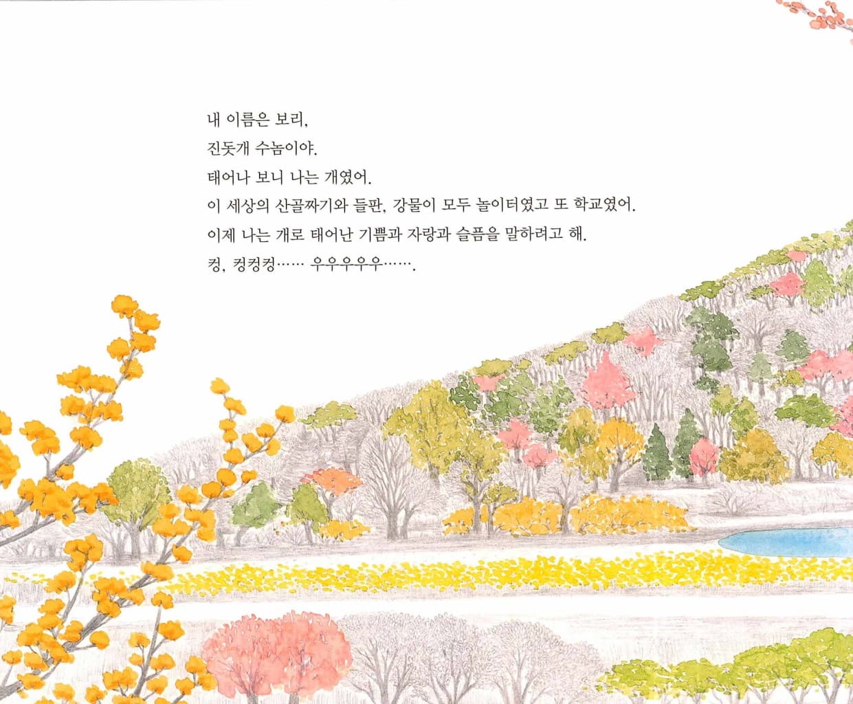 진돗개 보리
