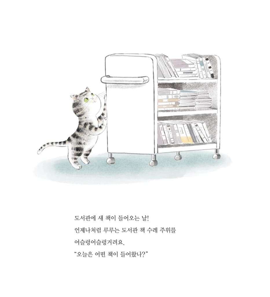 사서가 된 고양이