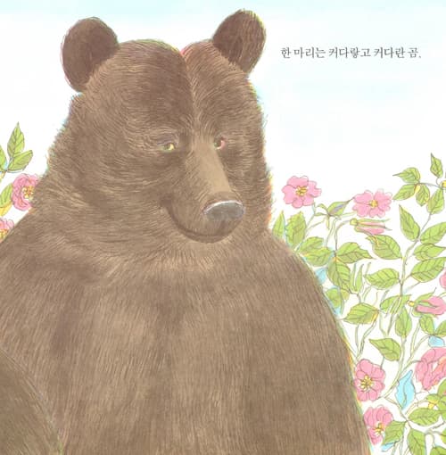 곰 세 마리