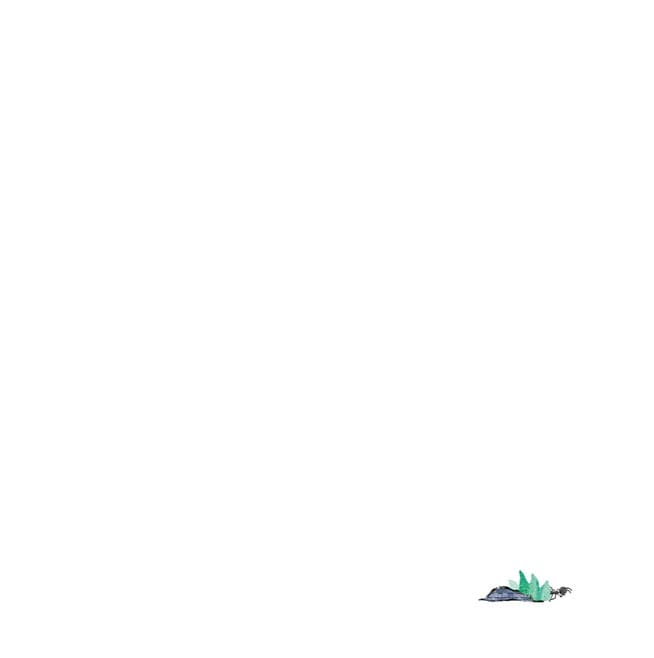 곰곰아, 괜찮아?