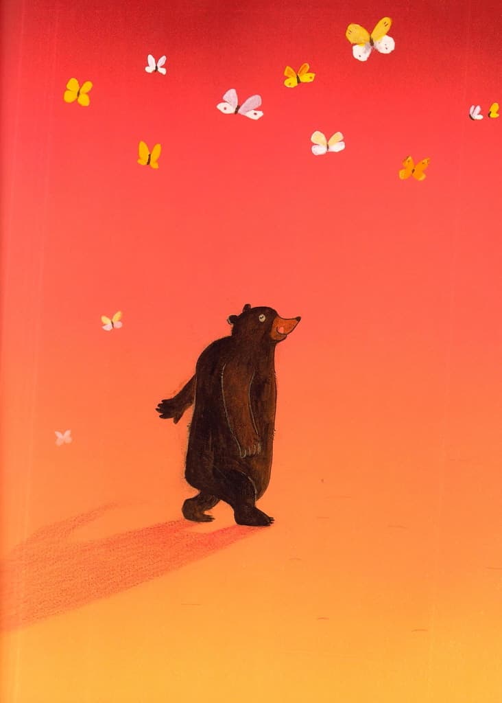 곰과 나비