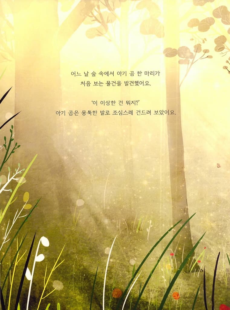 곰과 피아노