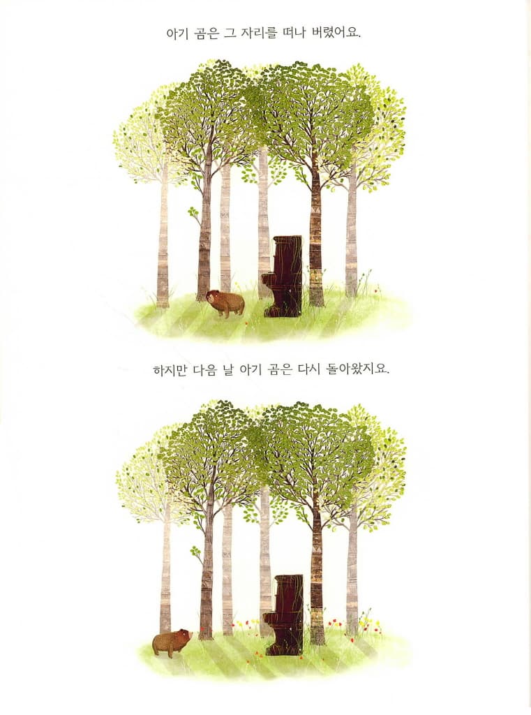 곰과 피아노