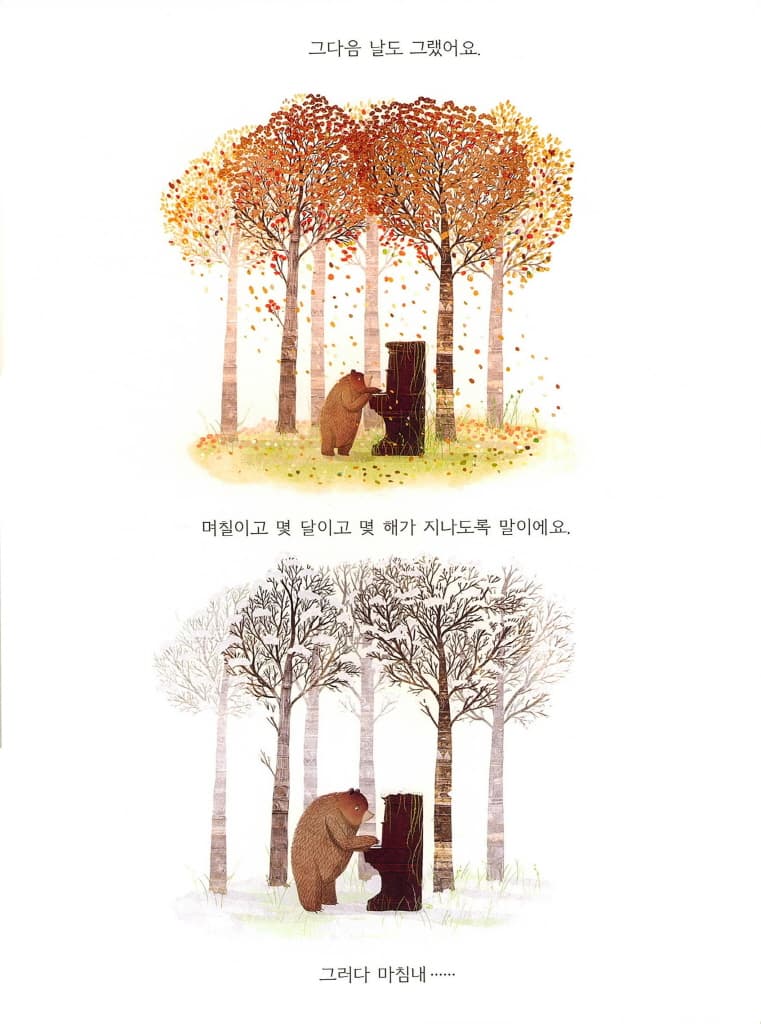 곰과 피아노