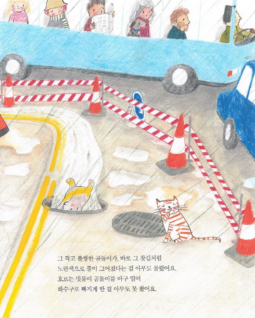 찾았다, 곰돌이!