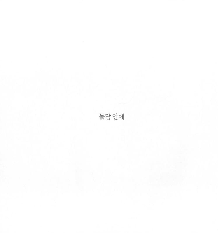 상추씨
