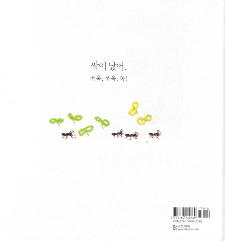 상추씨
