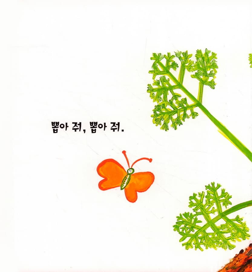 채소가 좋아