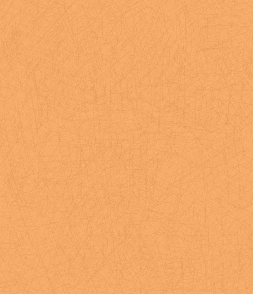 새살이 솔솔 자연 반창고 딱지