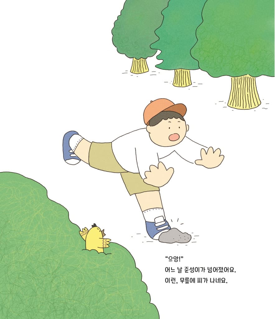 새살이 솔솔 자연 반창고 딱지