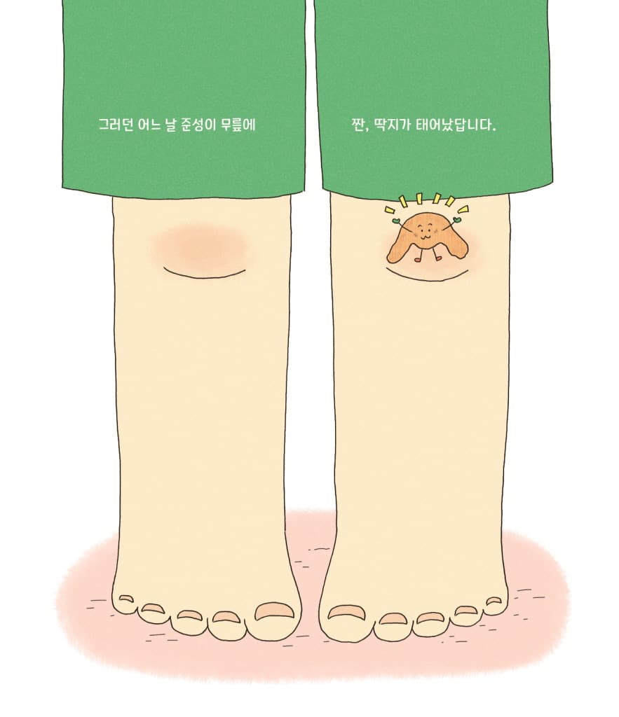 새살이 솔솔 자연 반창고 딱지