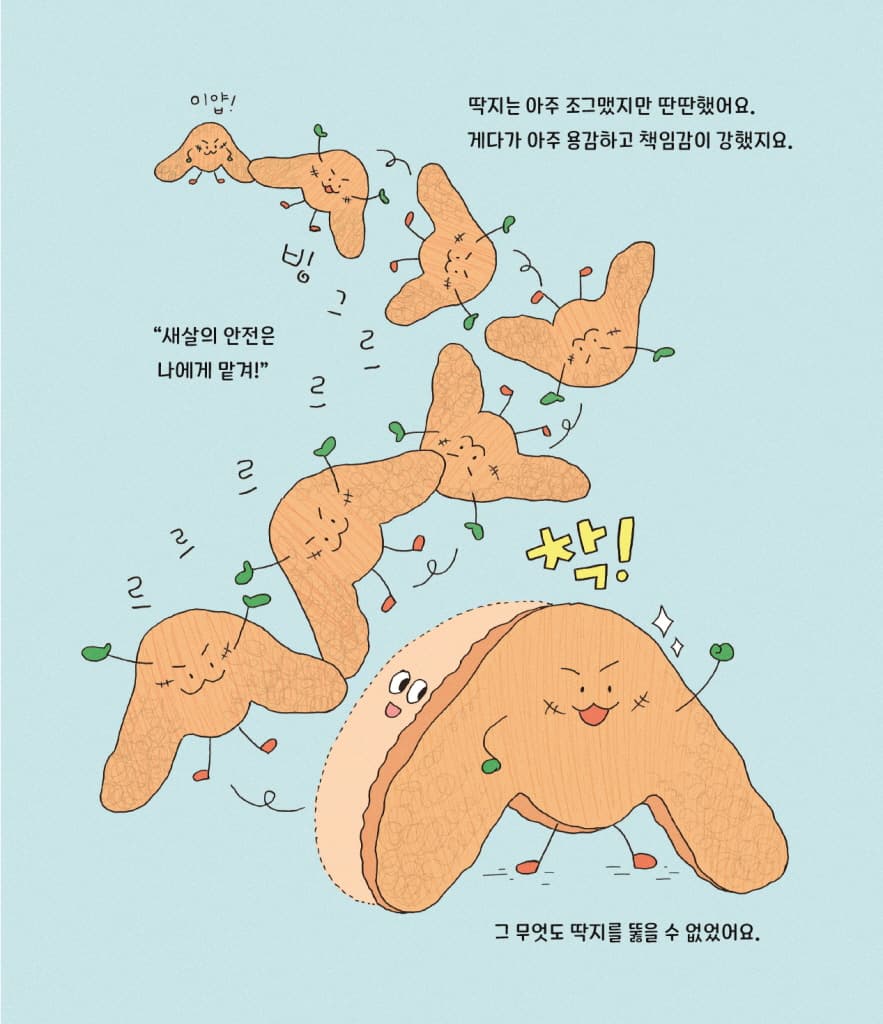 새살이 솔솔 자연 반창고 딱지