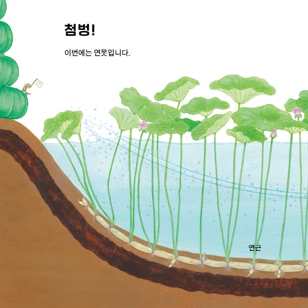 채소밭 차차차