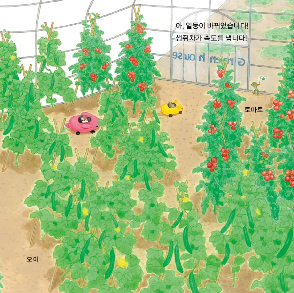 채소밭 차차차
