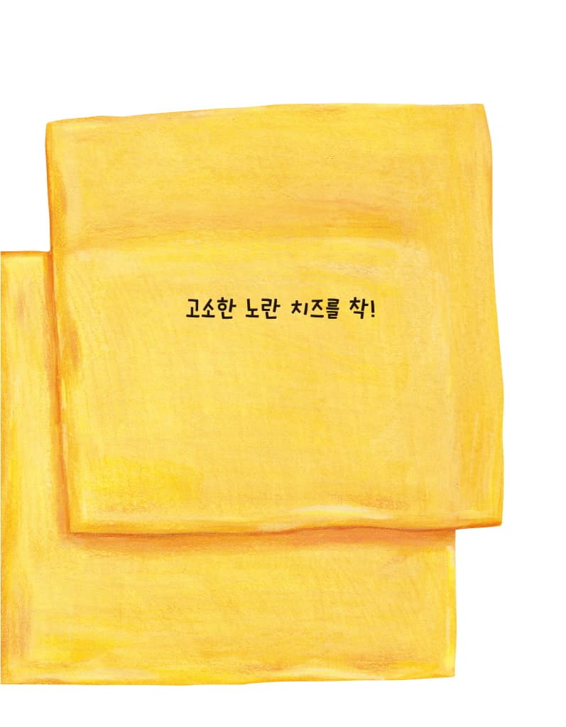 샌드위치 소풍