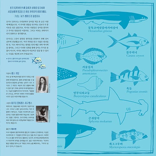 샤크 레이디