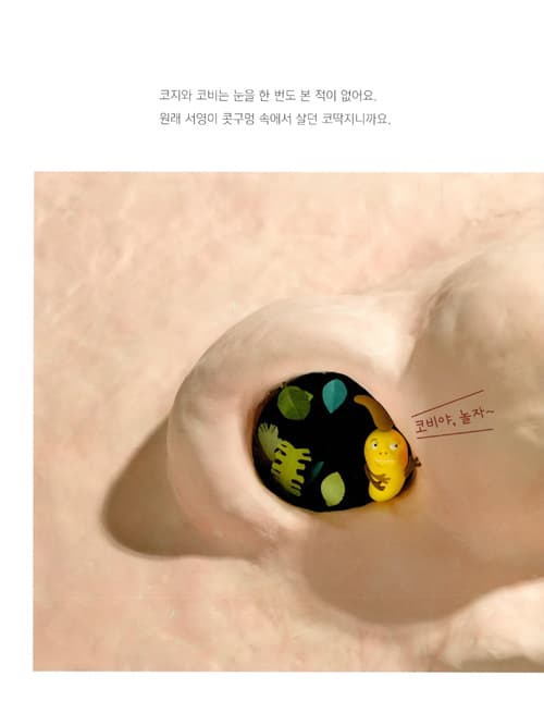 첫눈을 기다리는 코딱지 코지