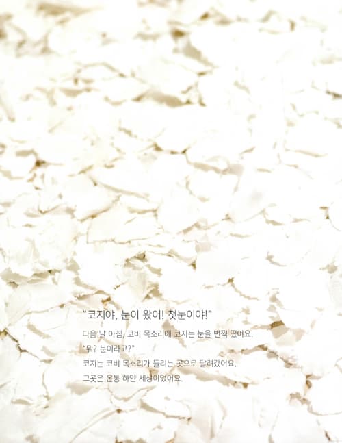 첫눈을 기다리는 코딱지 코지