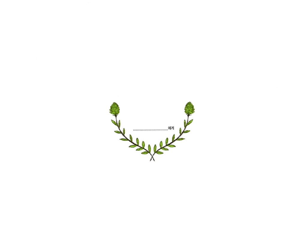 초록 거북