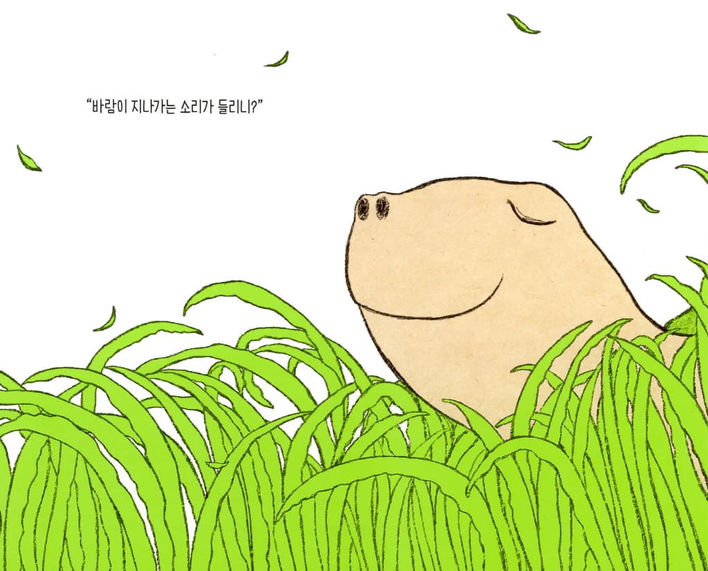 초록 거북