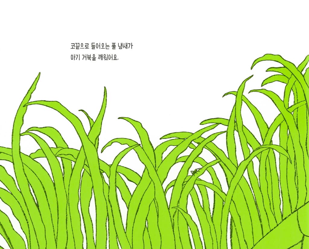 초록 거북
