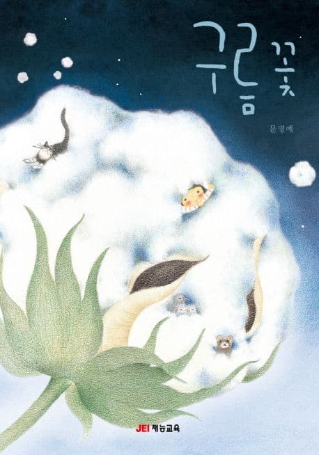 구름꽃의 표지